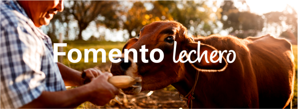 Plan de Fomento Agropecuario del Caquetá