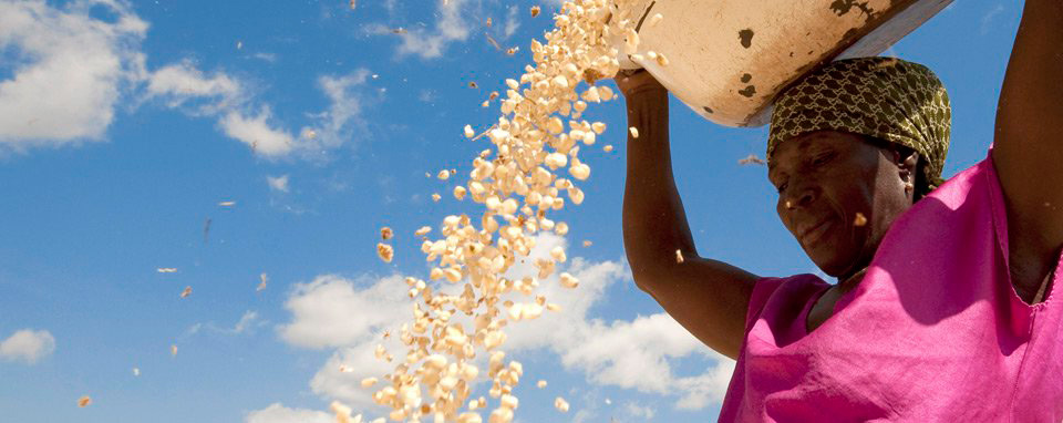 Drama en africa Occidental