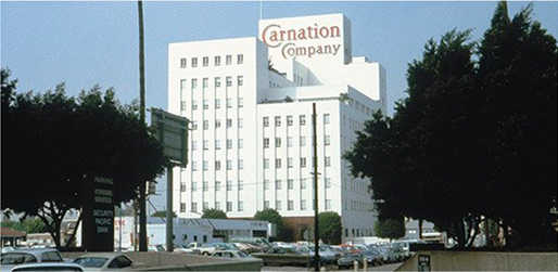 1981-2005