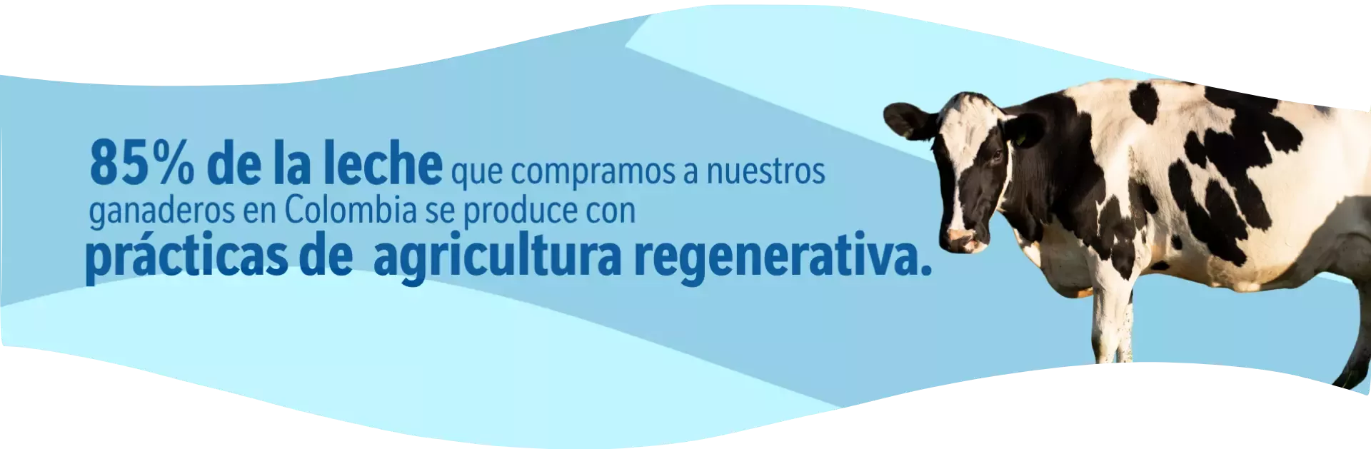 Banner Personas y Planetas