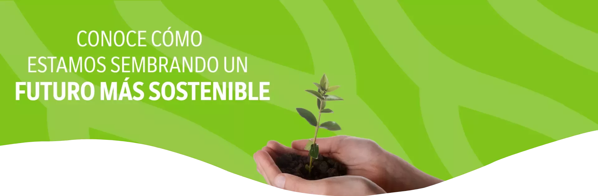 Sostenibilidad