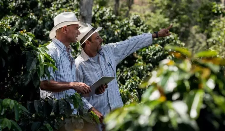 Dos personas viendo cultivos de los productos NESTLÉ® Colombia