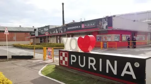 Purina