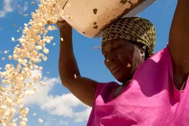 Drama en africa Occidental
