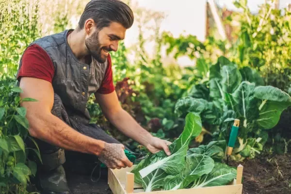 hombre poniendo en práctica alimentación sostenible
