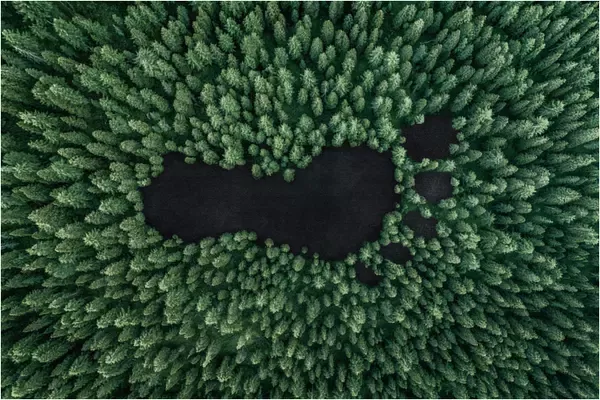 Representación de qué es la huella de carbono